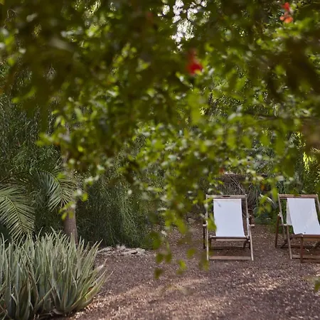 Oasis San Martin El Cotillo