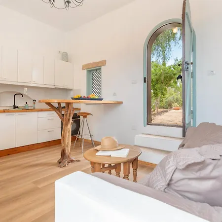 Oasis San Martin El Cotillo Cotillo