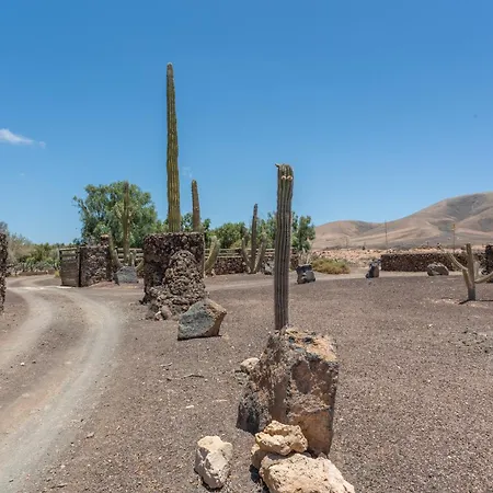 Oasis San Martin El Cotillo Willa *