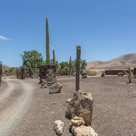 Oasis San Martin El Villa